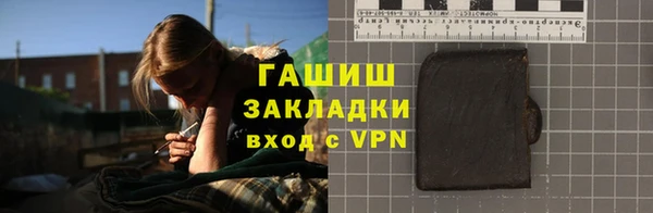 шишки Новодвинск