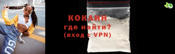 шишки Новодвинск
