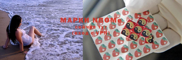индика Новокубанск