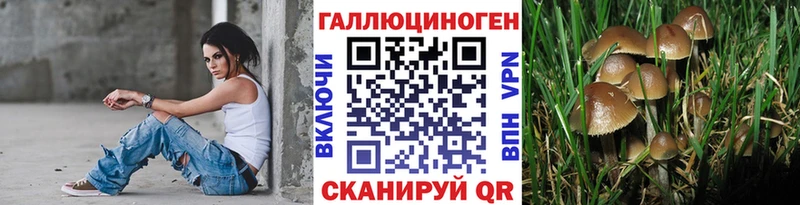 Псилоцибиновые грибы Psilocybine cubensis  Березники 