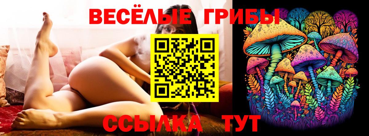 Галлюциногенные грибы мицелий Березники