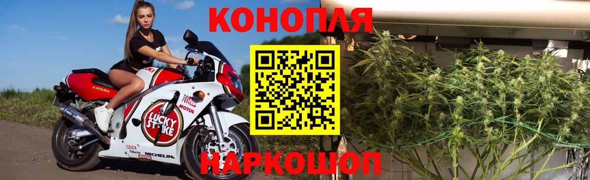 МАРИХУАНА сатива  Вход с VPN  Березники  Конопля Ganja 